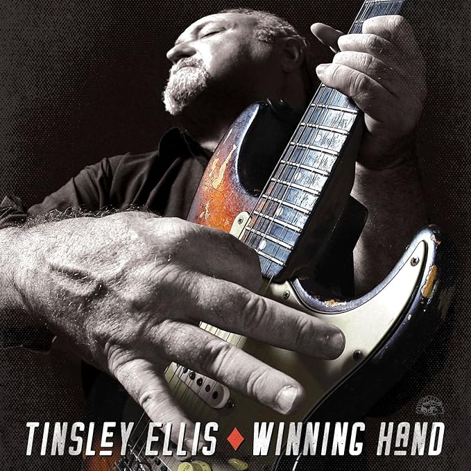 胜利之手 tinsley ellis 亚马逊中国